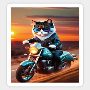 Cat with glasses riding a motorbike sunset Sticker